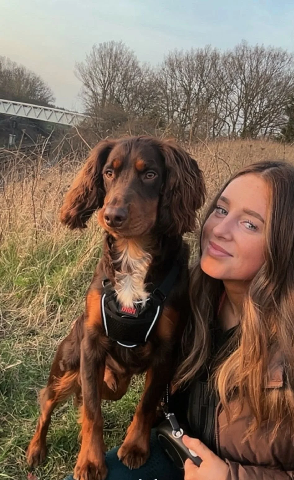 A black and tan Dachshund puppy with floppy ears standing on a wooden floor, touching a crumpled newspaper.