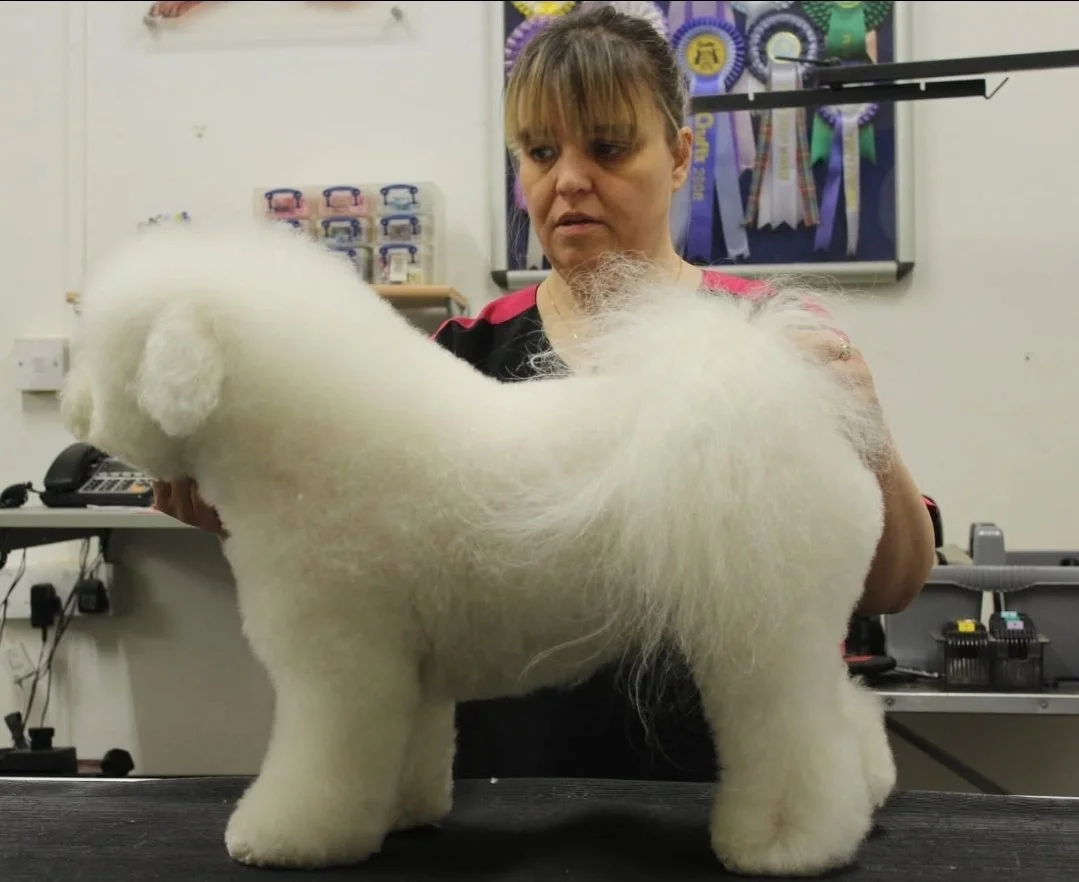 A woman in glasses and a black jacket is smiling at the camera while holding a black and white puppy with its tongue out on a grooming table inside a groomer’s shop.