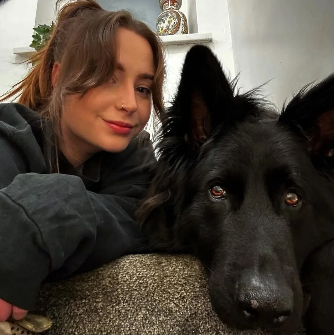 A young woman with five dogs on a rocky hilltop overlooking a green landscape and distant cityscape.