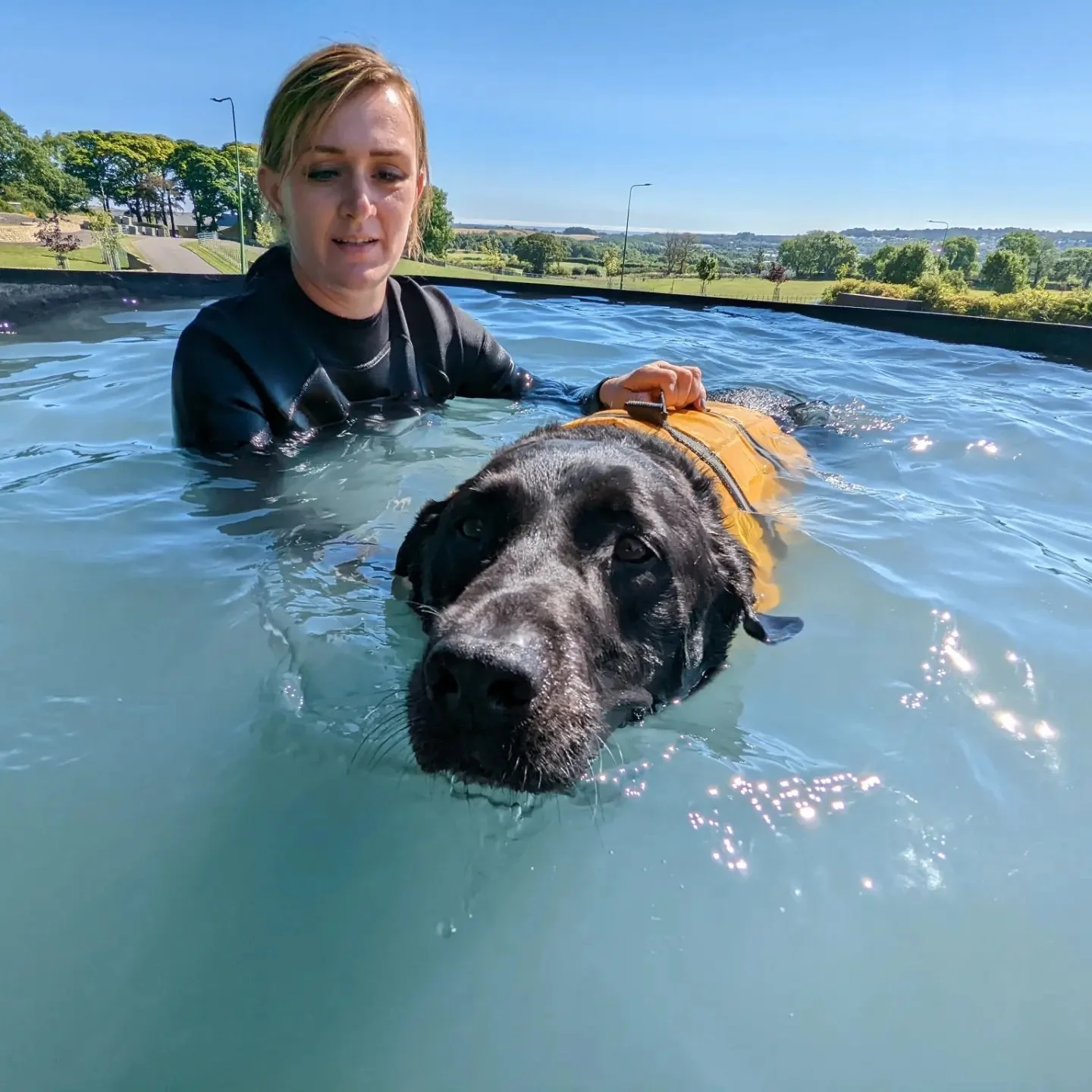 A woman and a large black and gray dog in a pool, with the woman helping the dog swim. The woman has short blonde hair and is wearing a black shirt, while the dog is wearing a yellow life jacket. They are outdoors with green trees and blue sky in the background.