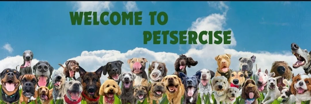 Offering Dog Daycare, Walking, Grooming, Hydrothherapy, Fun Swims , Field Hire , Puppy Classes, Agility & Hoopers, Skills Classes, Mantrailing, Training