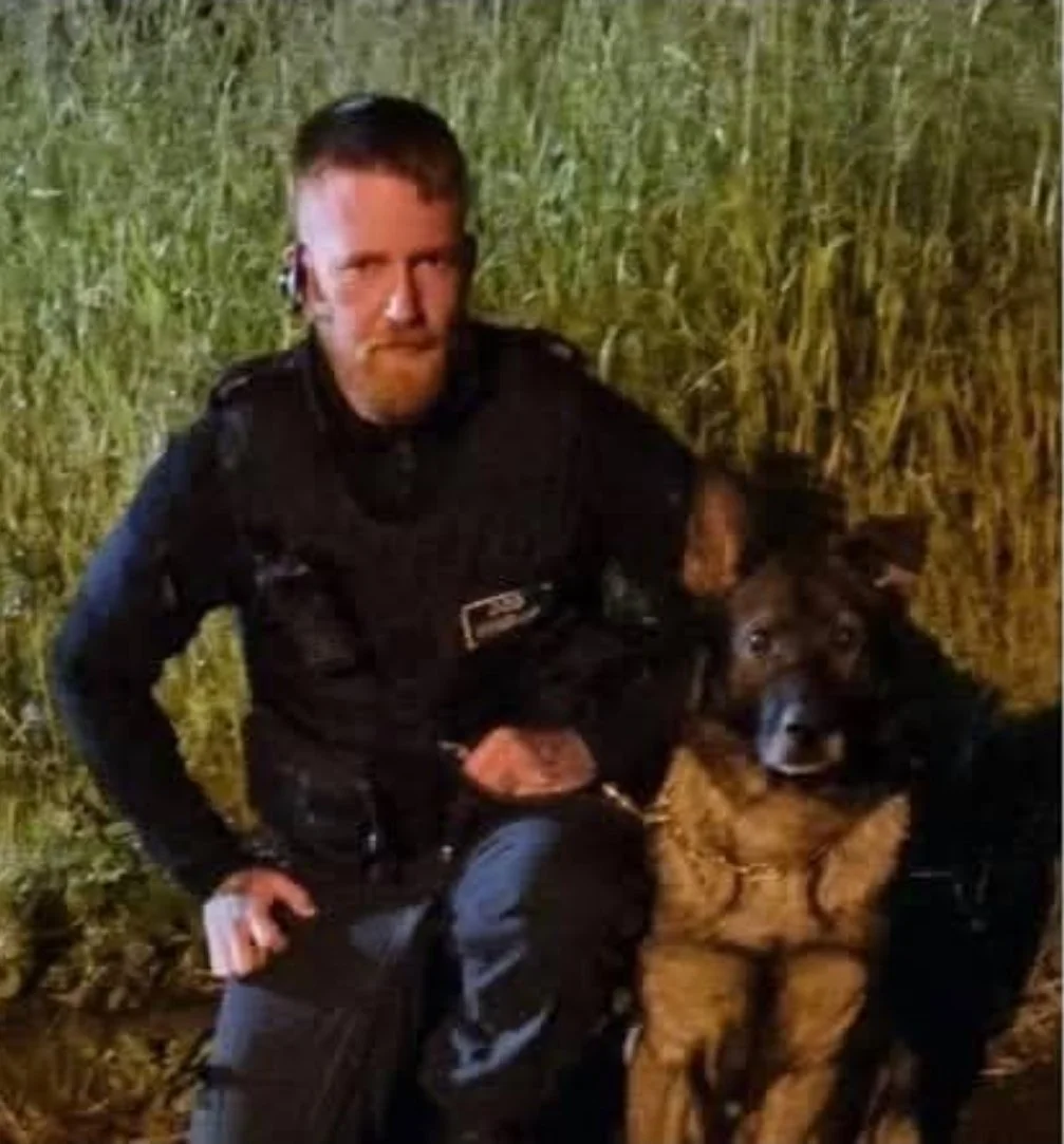 A girl sitting on the floor hugging a black and white dog, with a golden-brown dog nearby, in a room with a couch and brick wall.