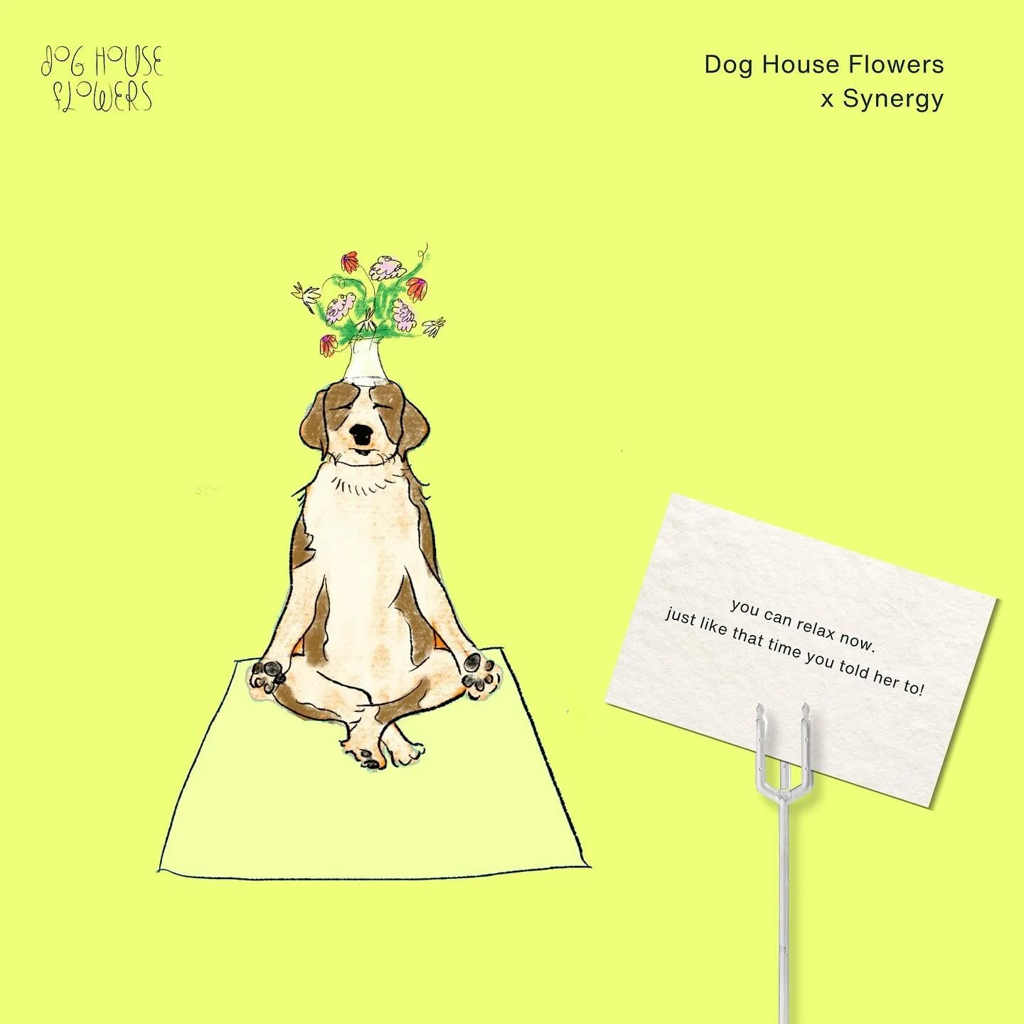 Valentine&rsquo;s Day is just around the corner! Place your order by 2/10 to make sure you&rsquo;re out of the dog house on 2/14 ❤️

Synergy members, we&rsquo;ve got a treat for you&mdash;enjoy 10% off your order with code TOYP. 🤸🏼&zwj;♀️

Order at