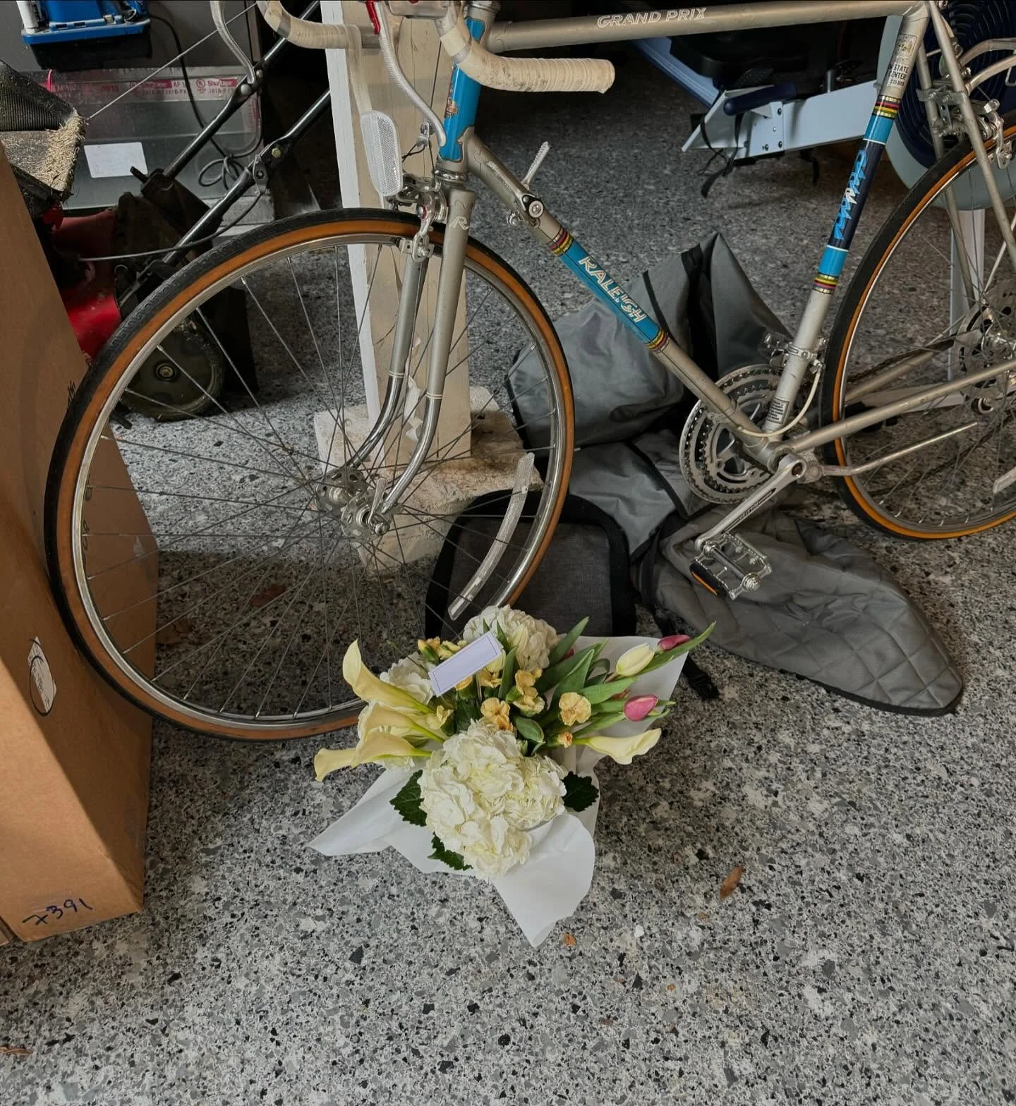 Winston is for lovers 🤍💍 🤍 a little dog house delivery to save the anniversary