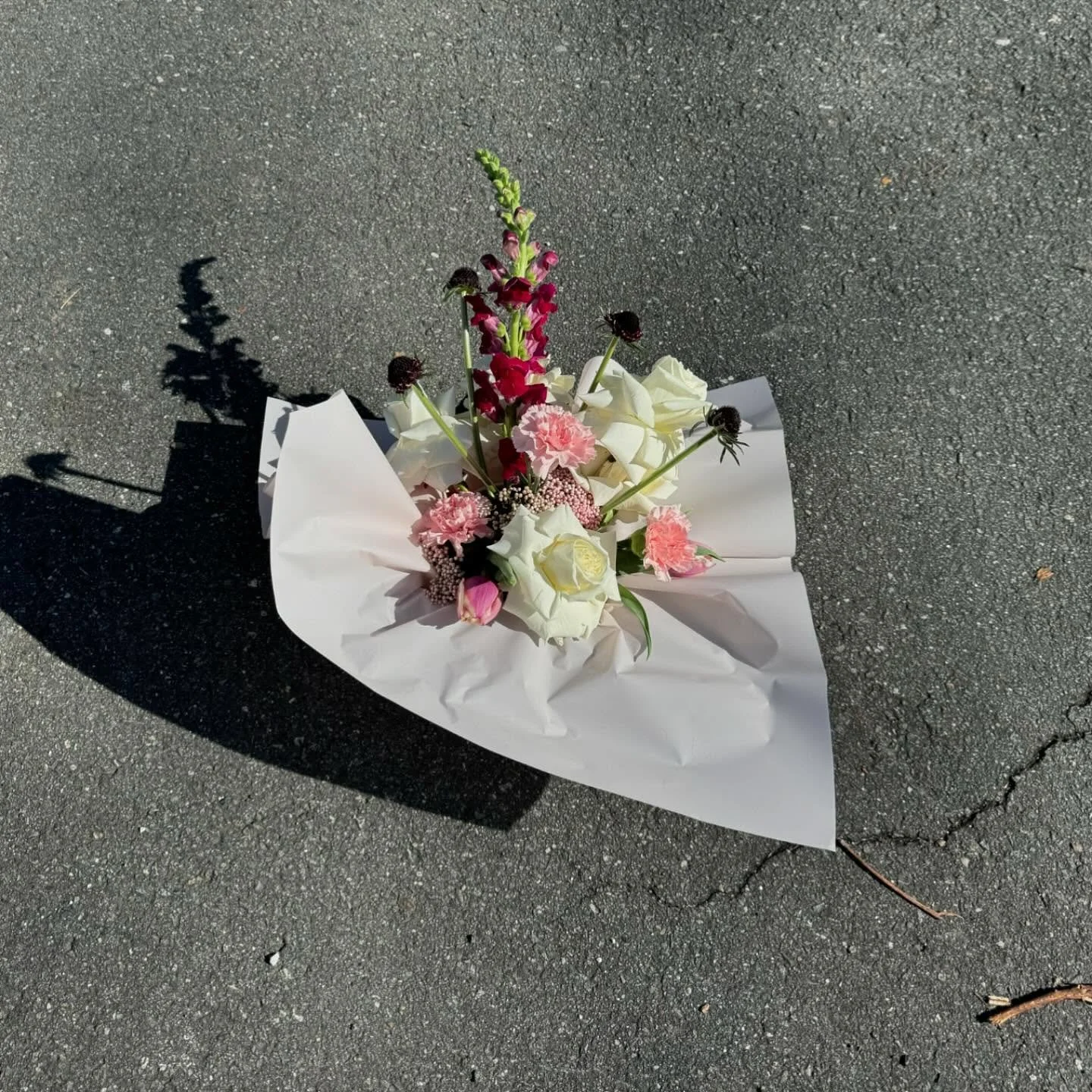 🐶 litter delivered for @sweatseshws orders close on monday for v-day! 🩷