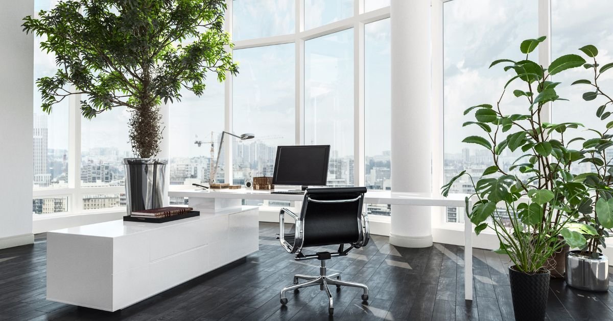 bright office with large plants