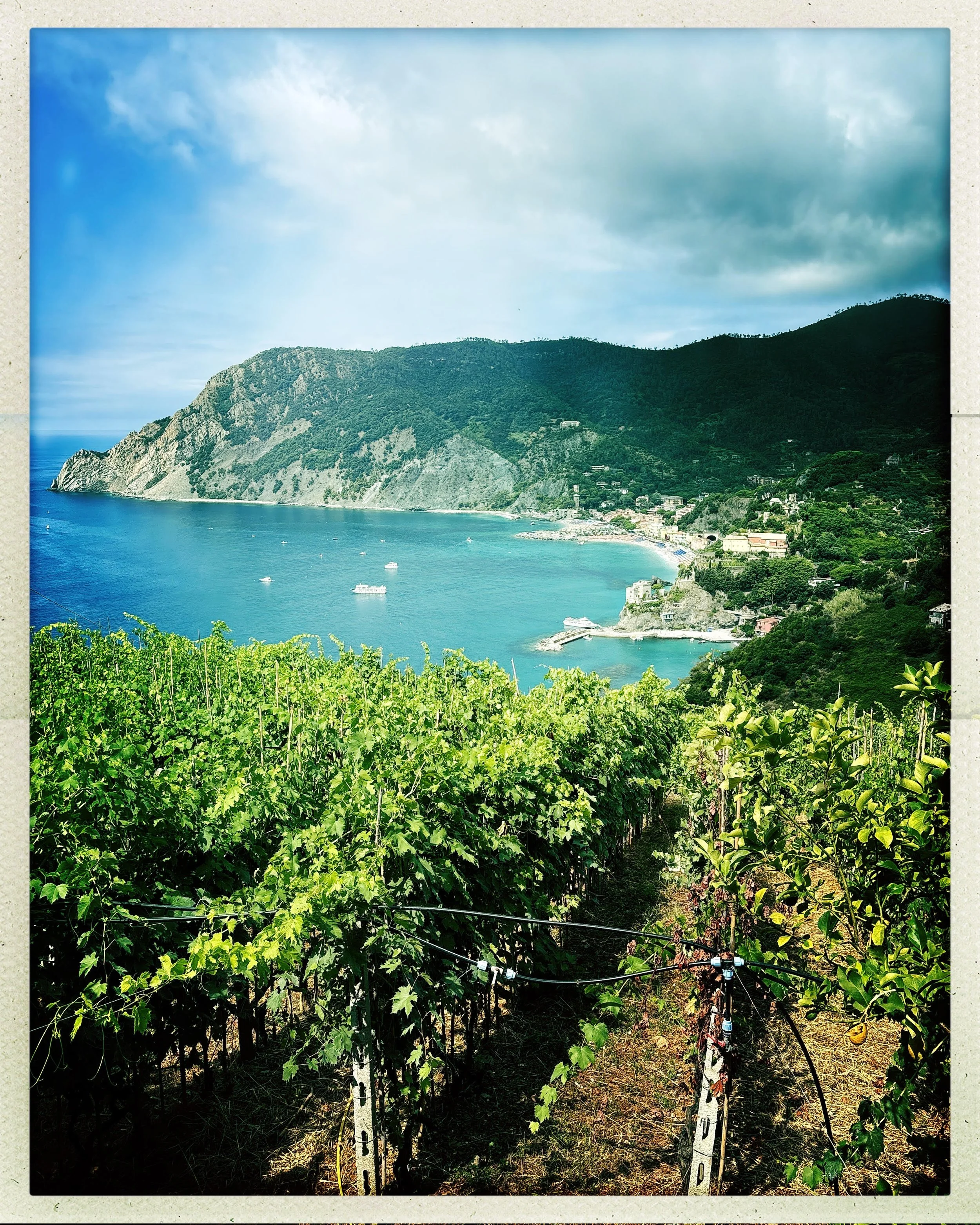 Vedic Chanting and the Neuroscience of Sacred Sound