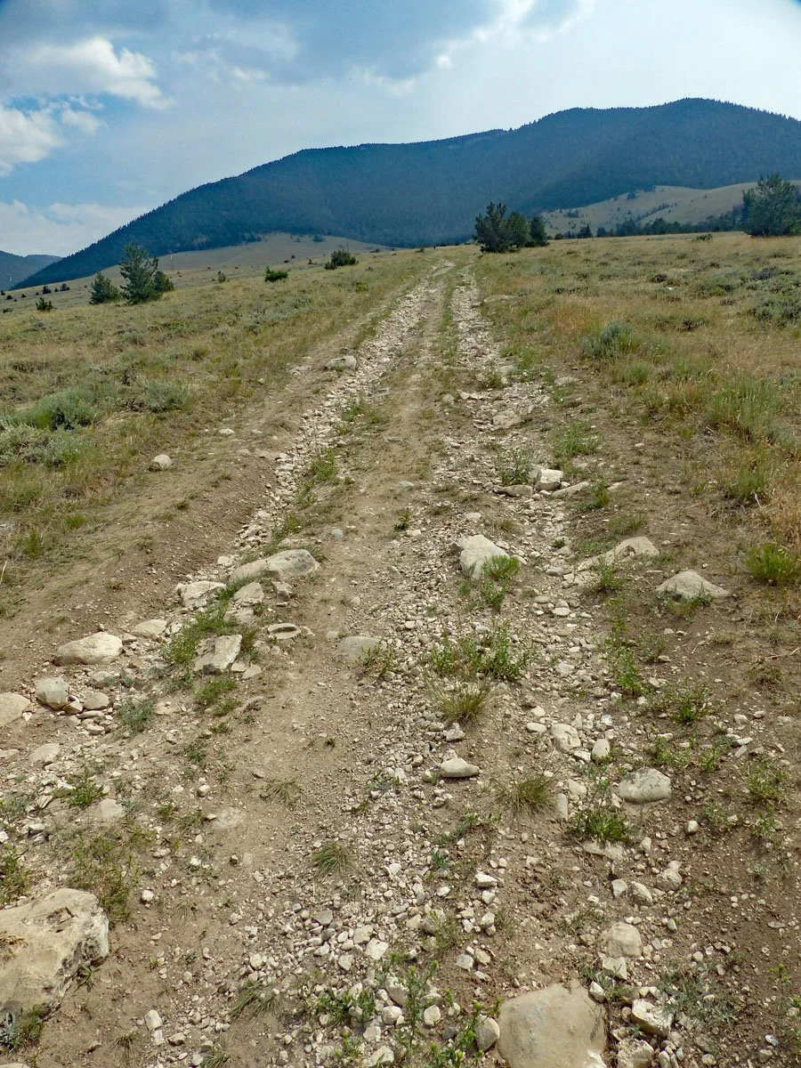 Rangers Trail — The Pryor Mountains