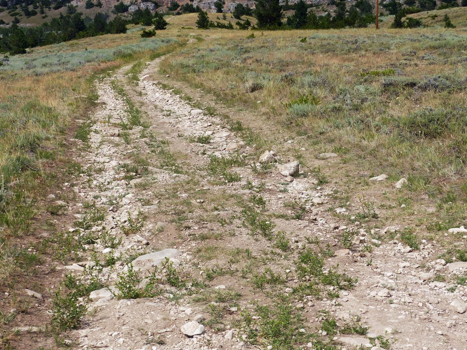 Rangers Trail — The Pryor Mountains