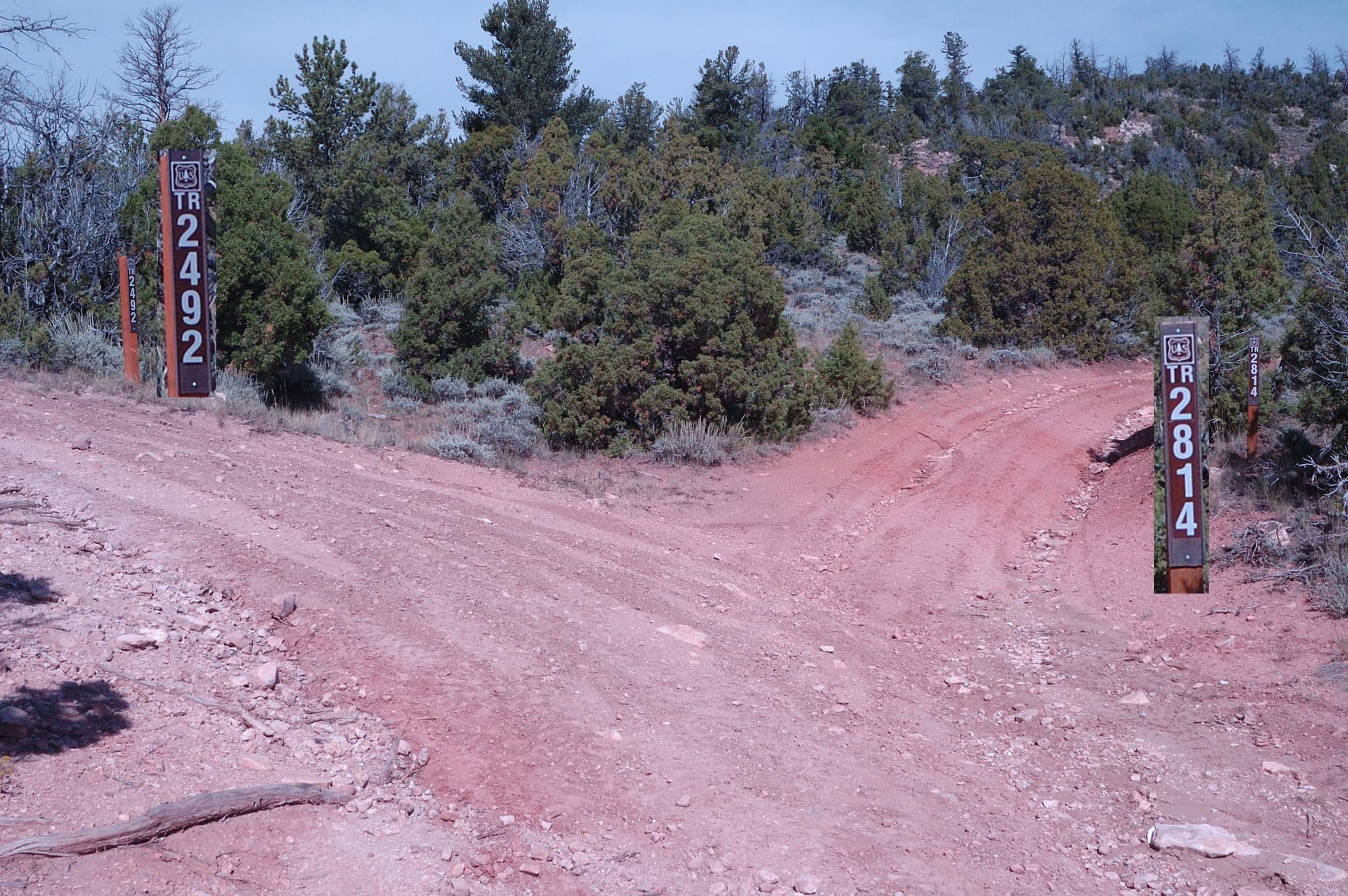 E.  Junction #2814 and #2492: Right (#2814) follows west fork rim of Bear Canyon. 