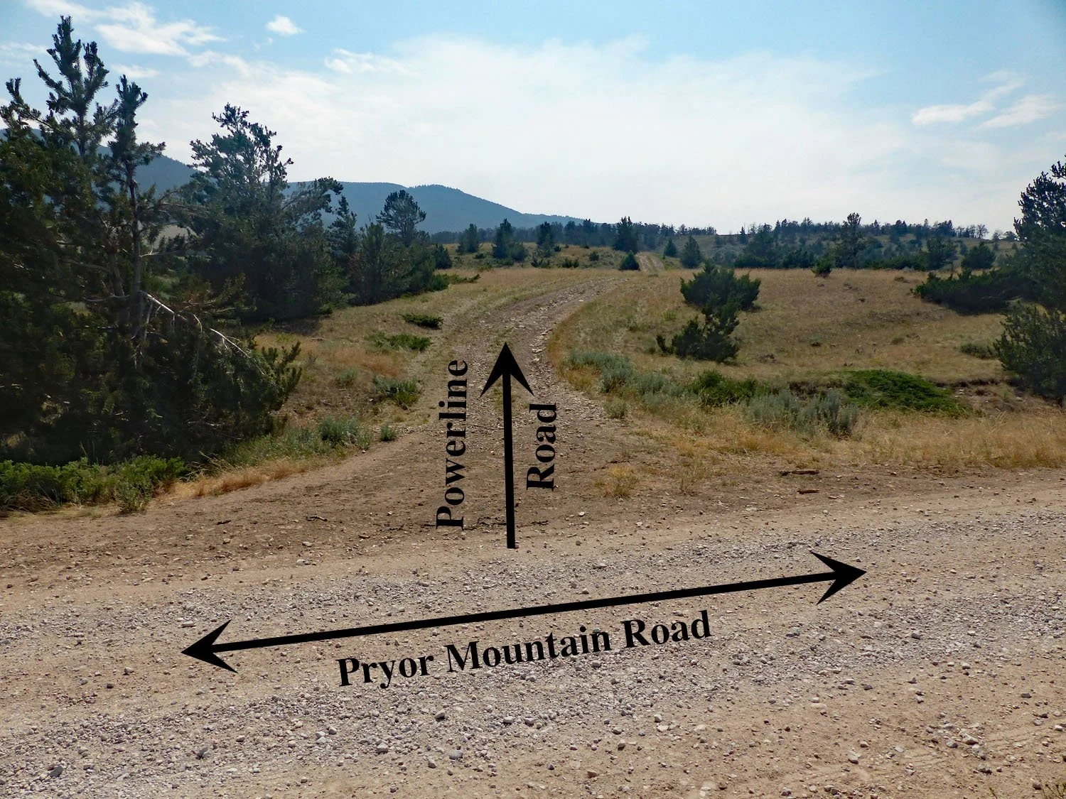 Rangers Trail — The Pryor Mountains