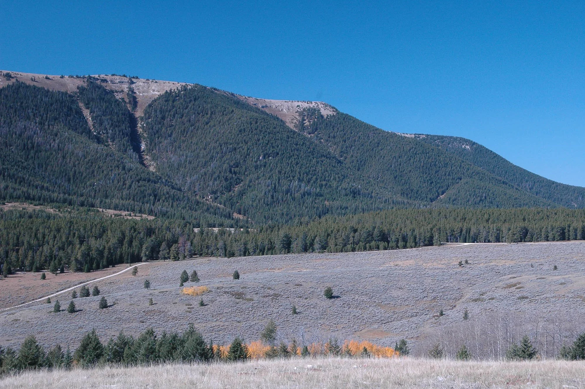 Driving Tour Pryor Mountain Road and Crooked Creek Road — The Pryor