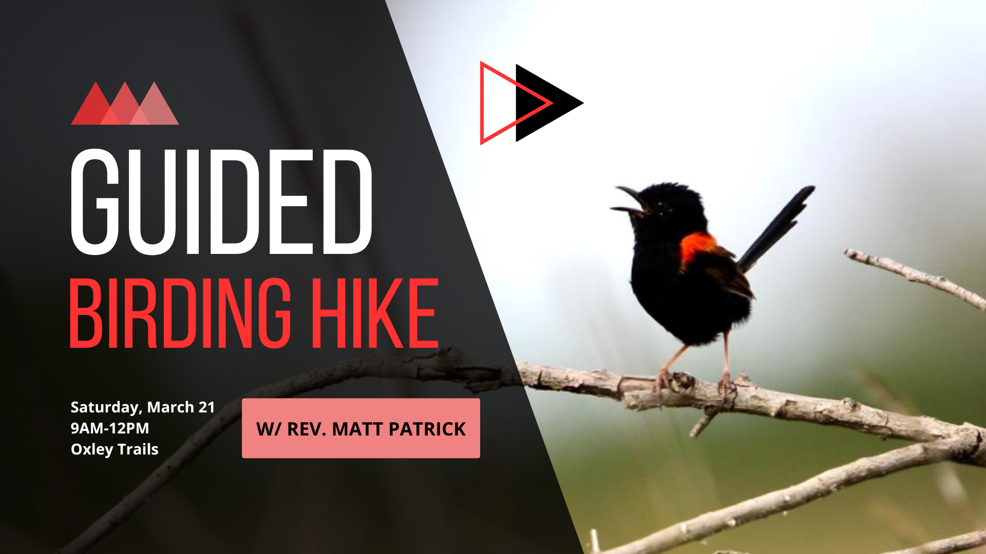 Guided Birding hike