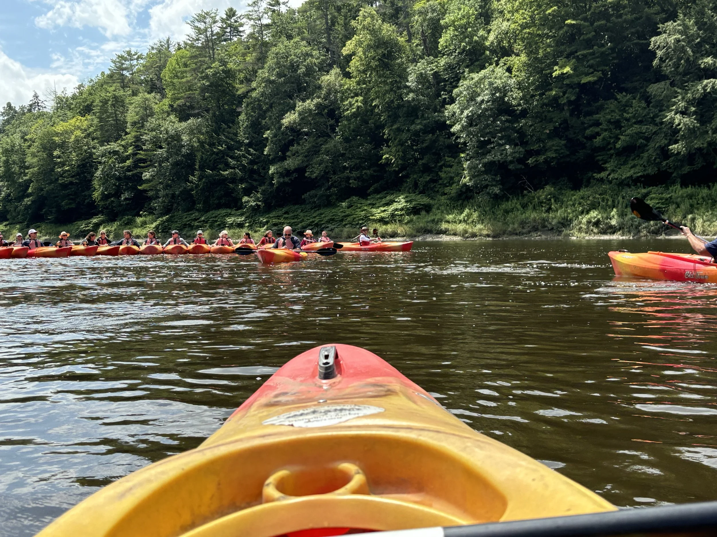 A group of people kayaking on a river surrounded by a forest with tall green trees, viewed from the front of a yellow kayak.
