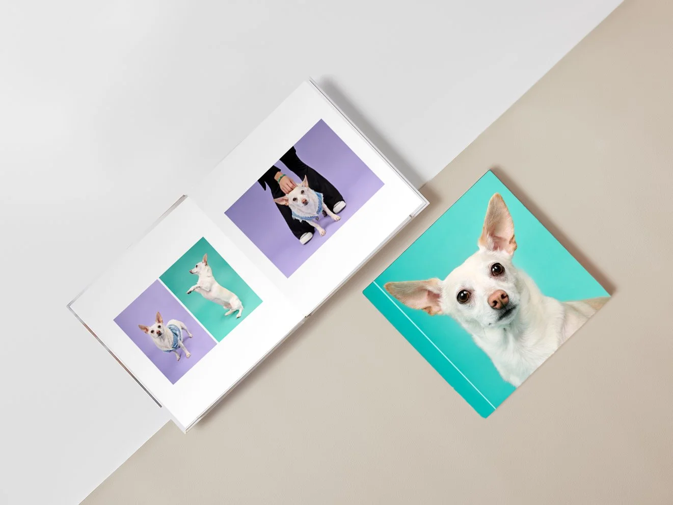 Coffee Table Photo Album