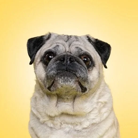 Dublin-Gatsby_0116 1.jpg