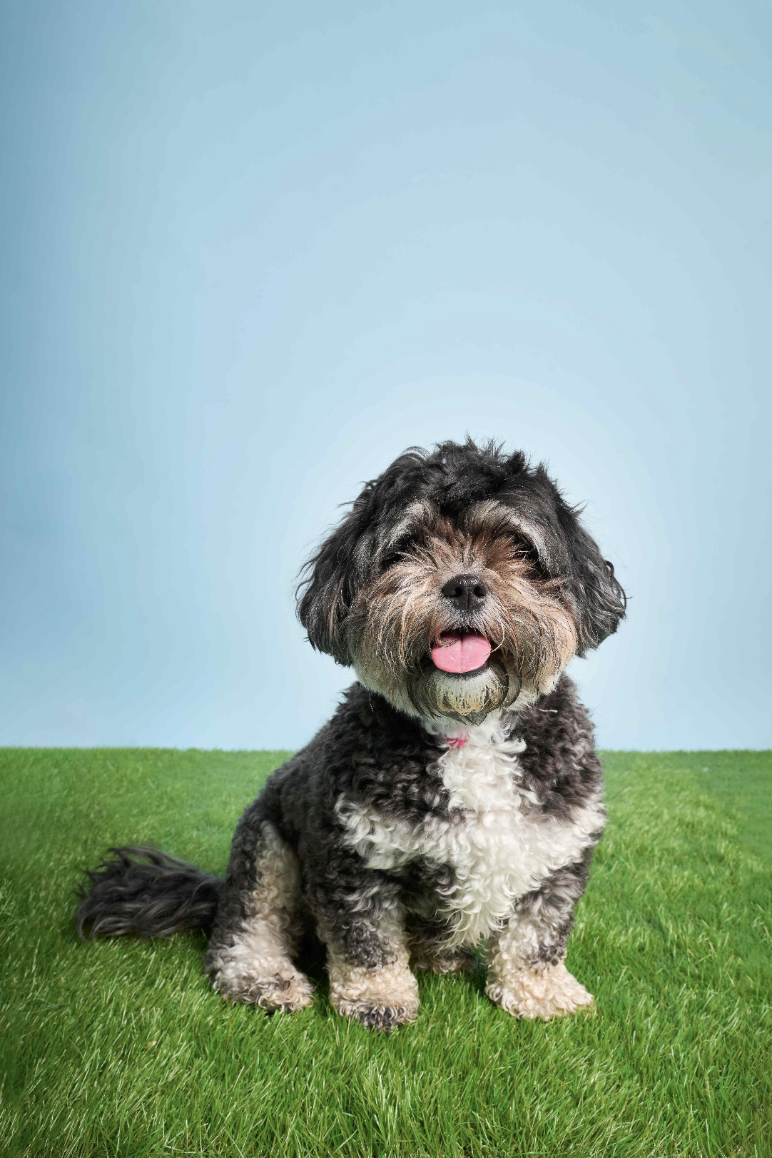 Screenshot 2025-09-01 at 3.34.18 PM.png