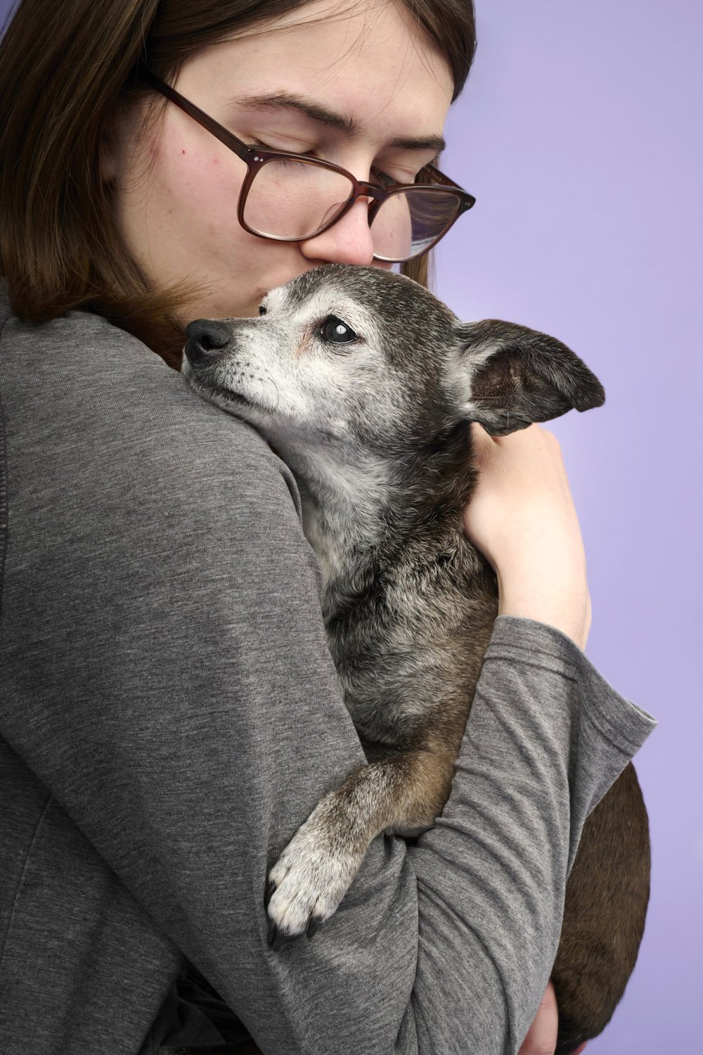Artemis: A Quiet, Full-Hearted Session with a Dog Who Was Still Very Much Herself