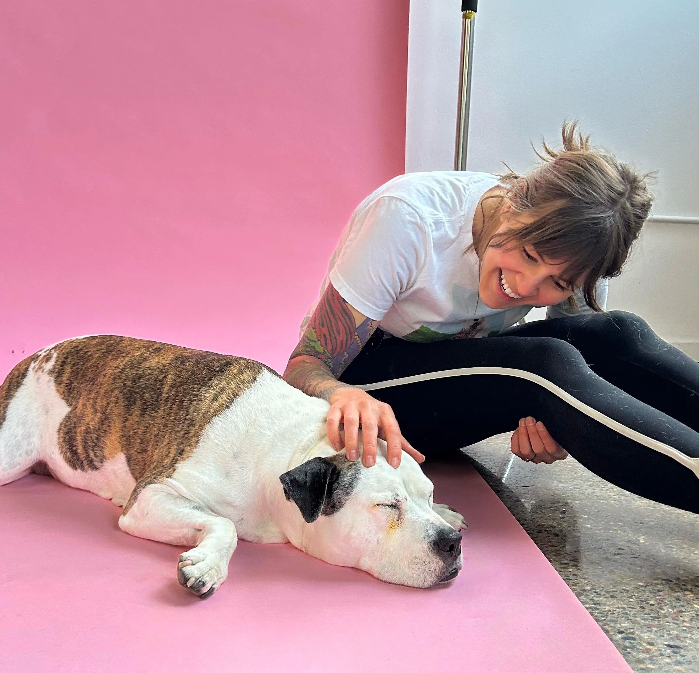 1. The Dog Whisperer Approach