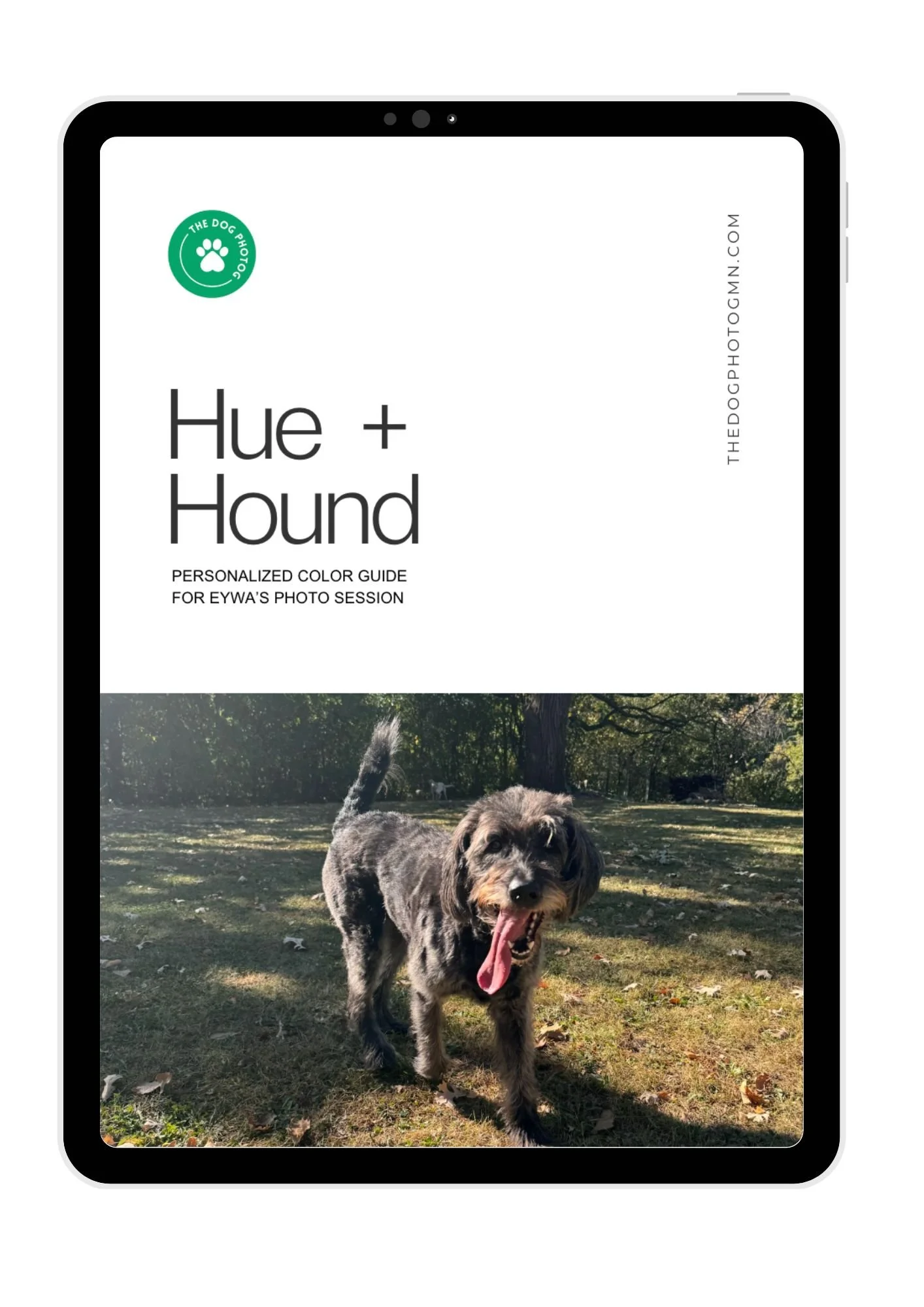 The Hue+Hound Color Guide: Picking the Perfect Backdrop for Your Dog’s Studio Portrait