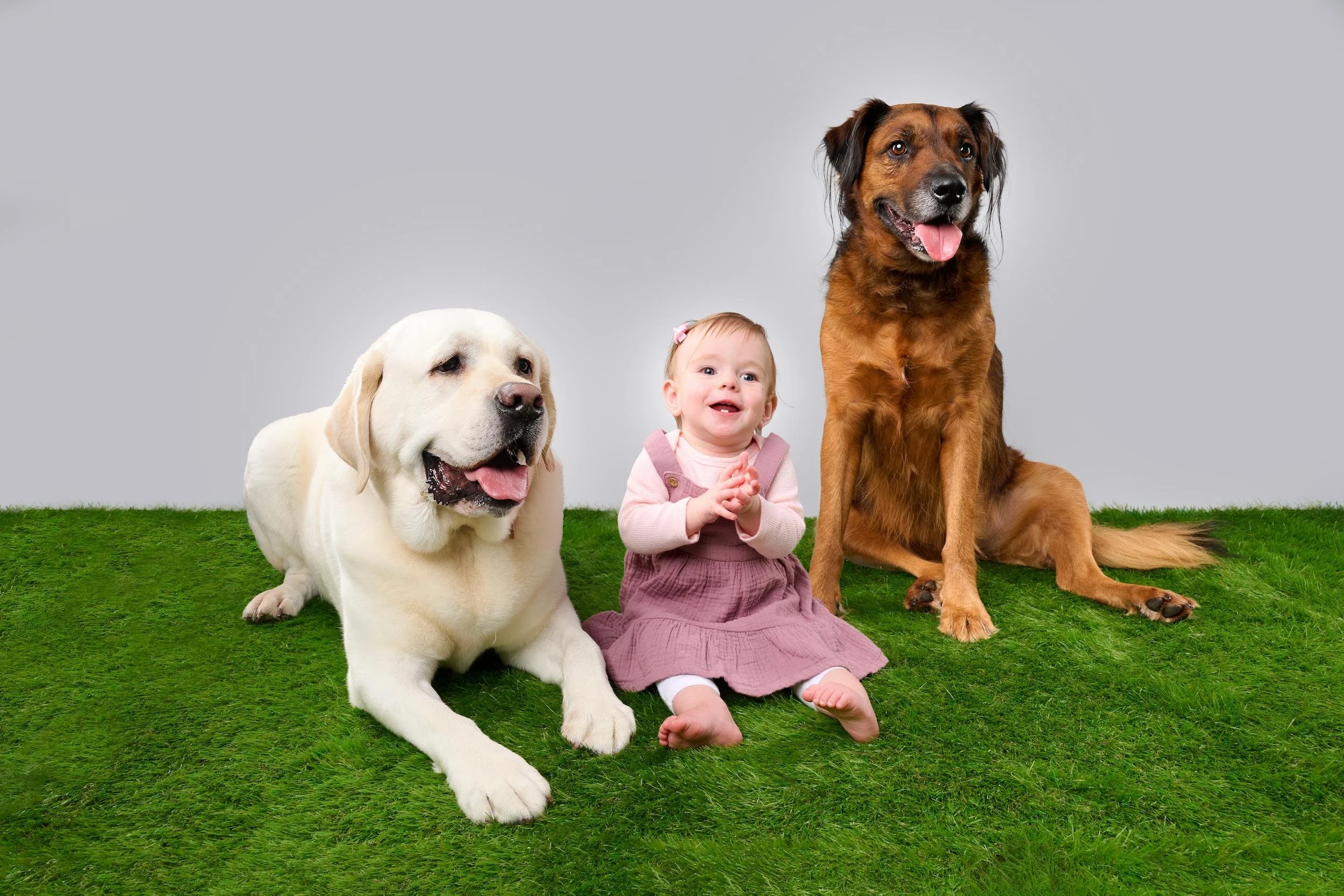 Dog-baby-girl-portrait-The-Dog-Photog-Minneapolis.jpg