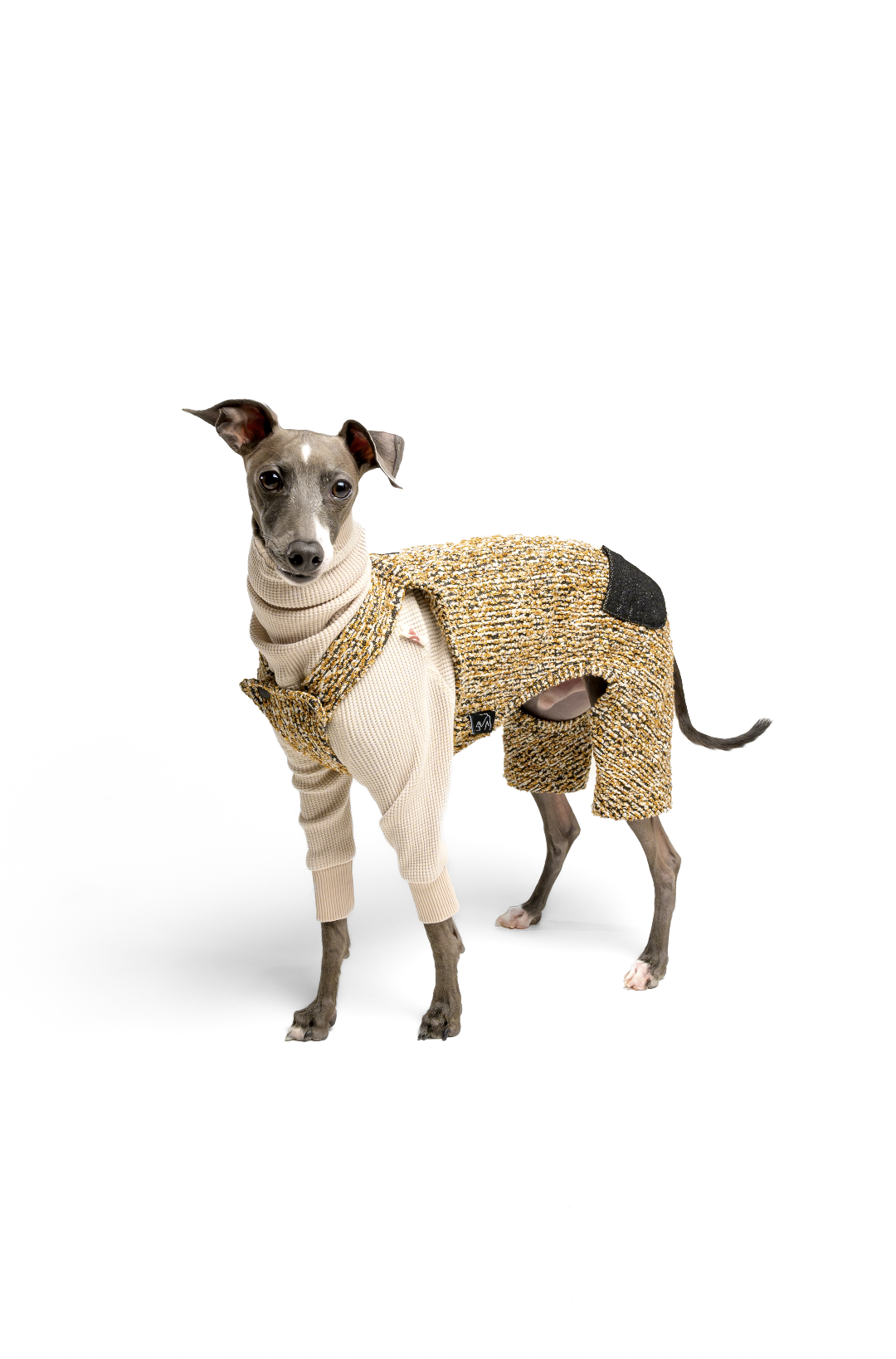 Screenshot 2024-09-13 at 5.58.11 PM.png