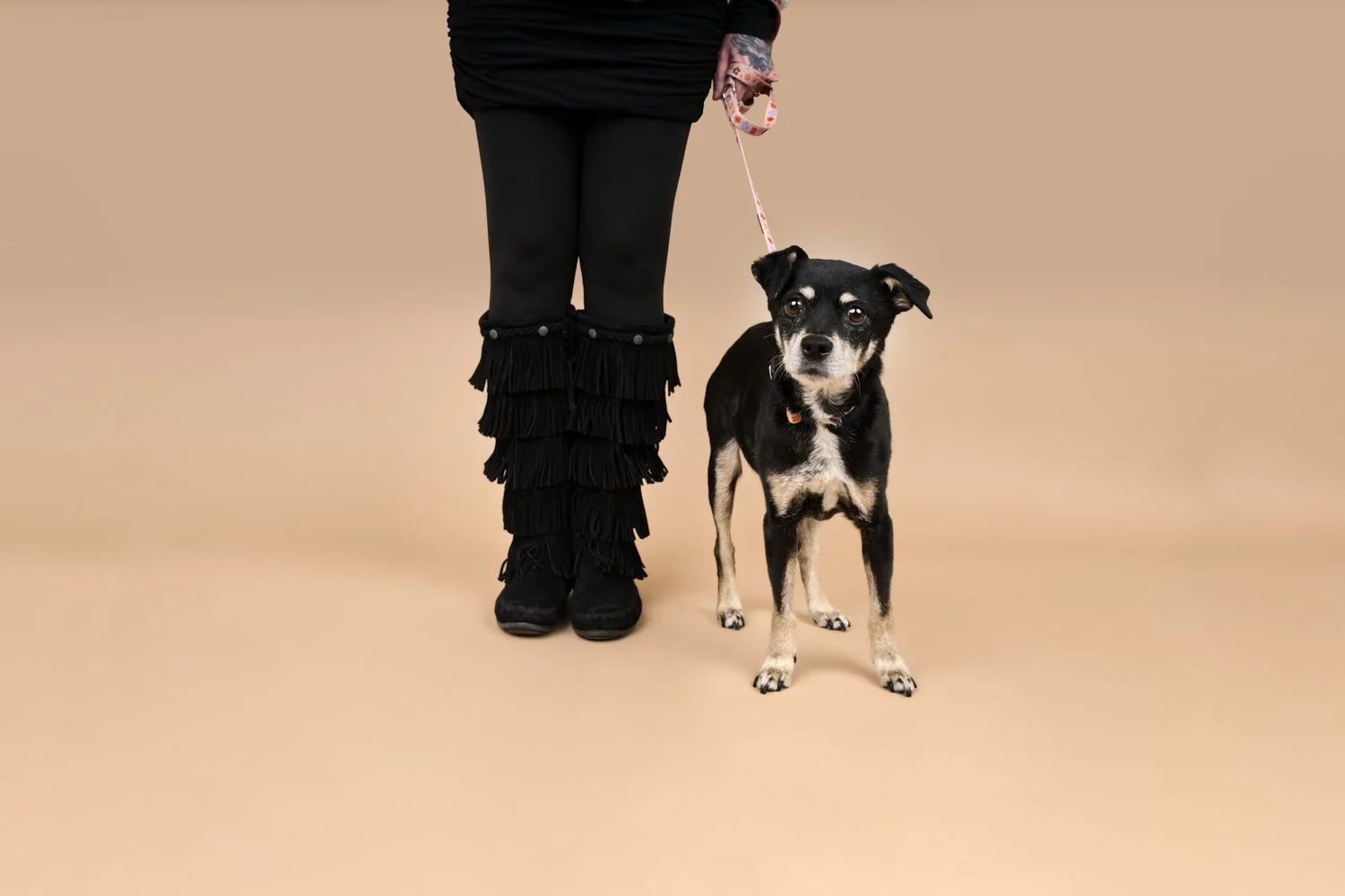 Rosie-TheDogPhotog-16523-web.jpg