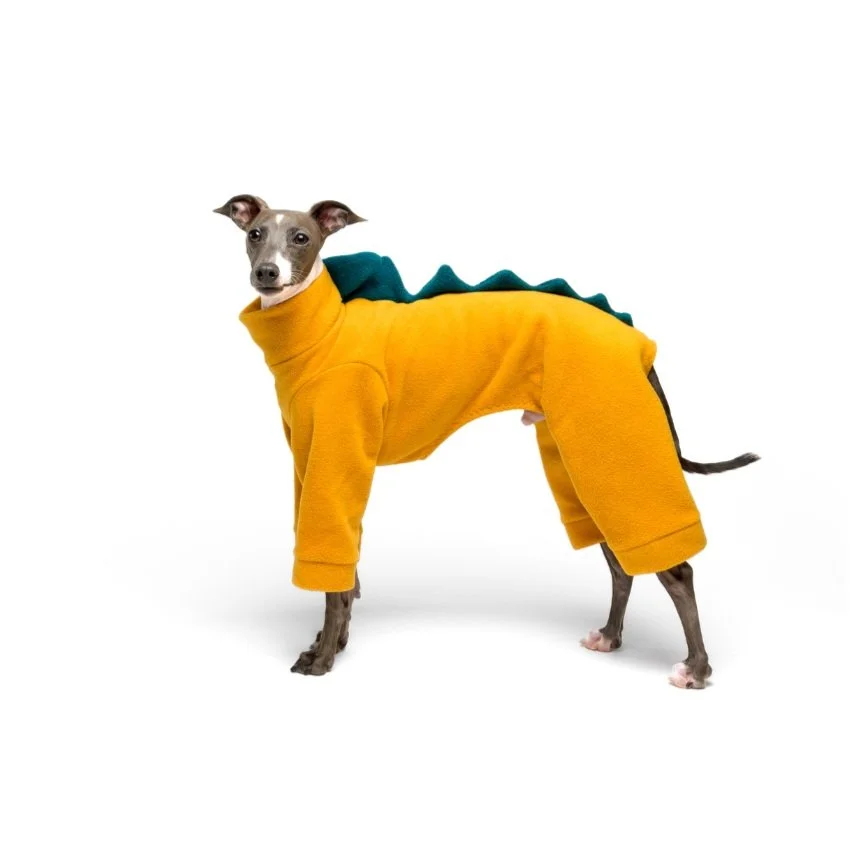 dog portrait wearing costume
