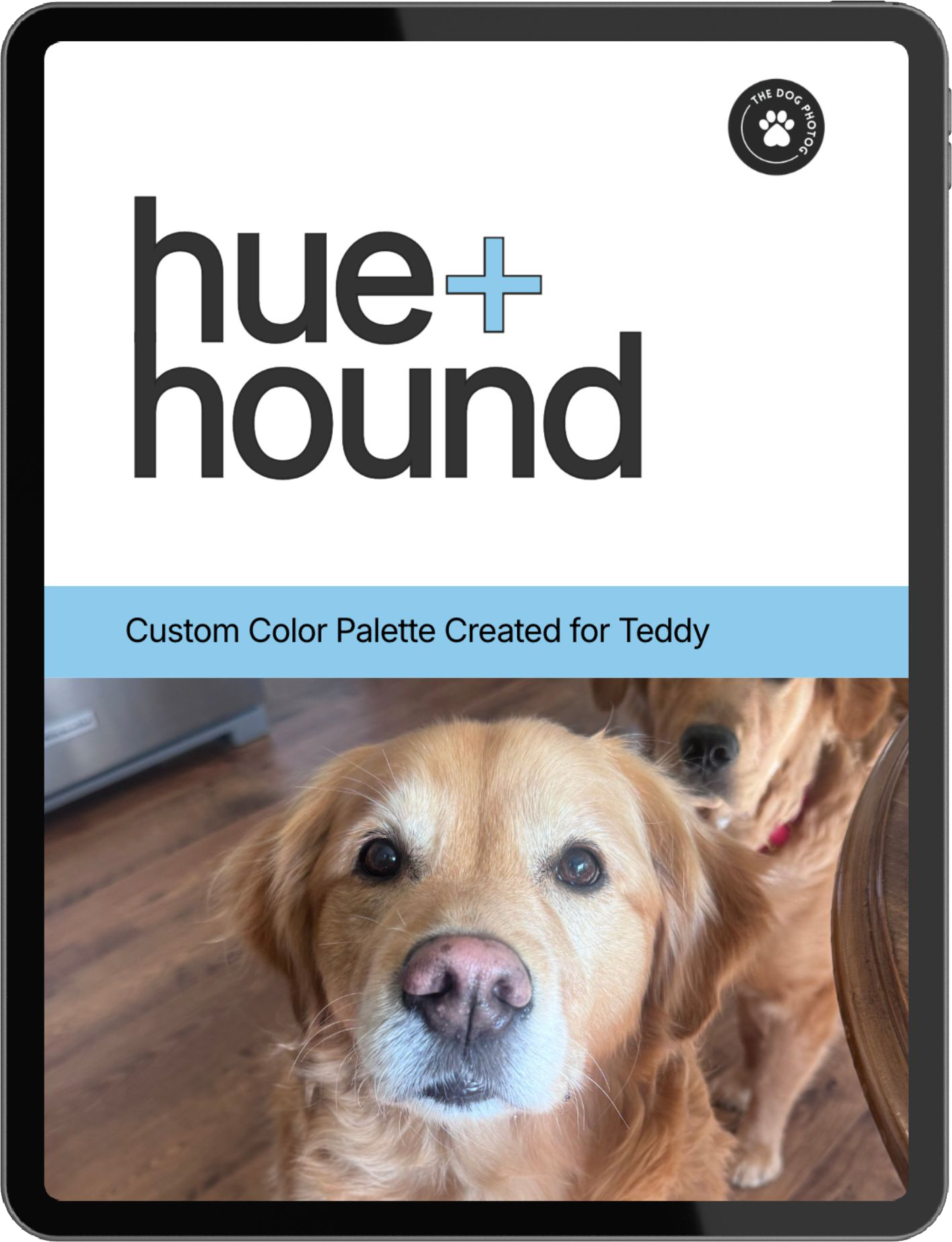 The Hue+Hound Color Palette: Picking the Perfect Backdrop for Your Dog’s Studio Portrait