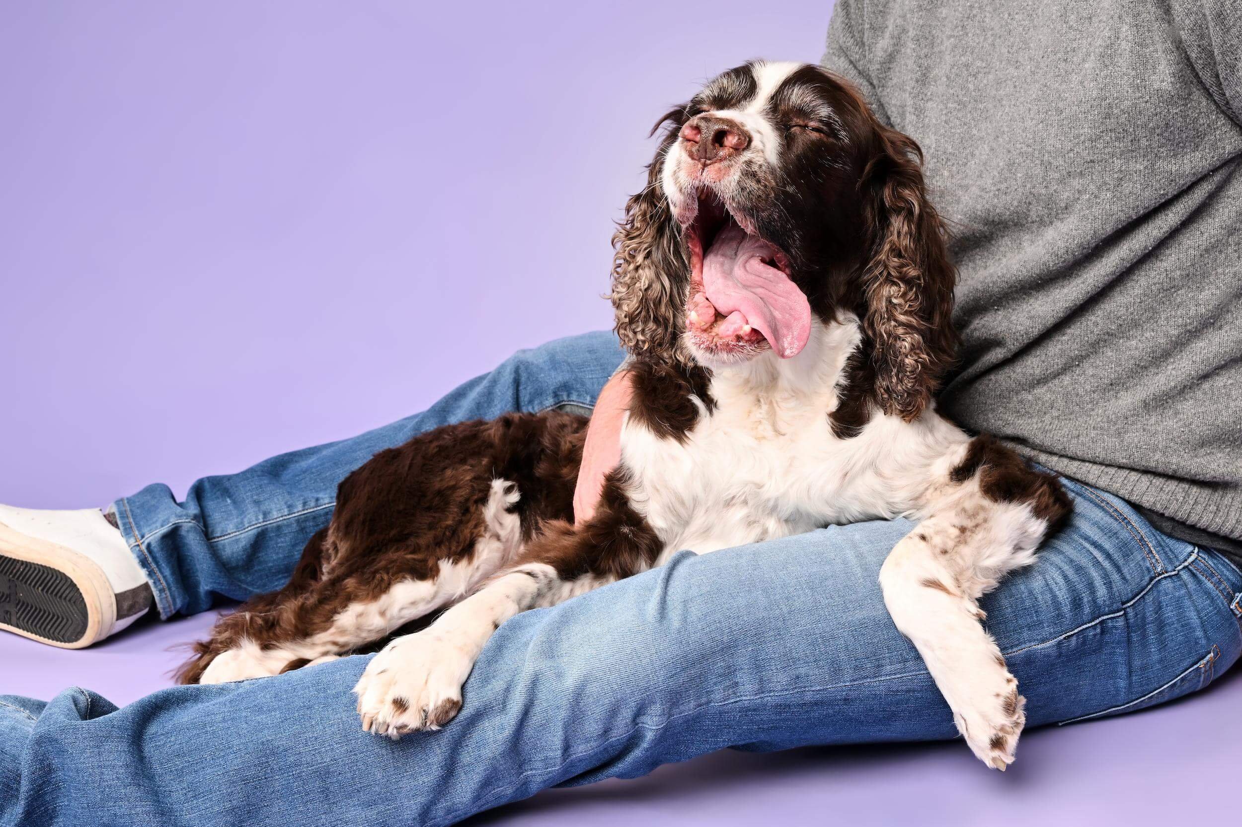 Theo-TheDogPhotog-2194 (1) (1).jpg