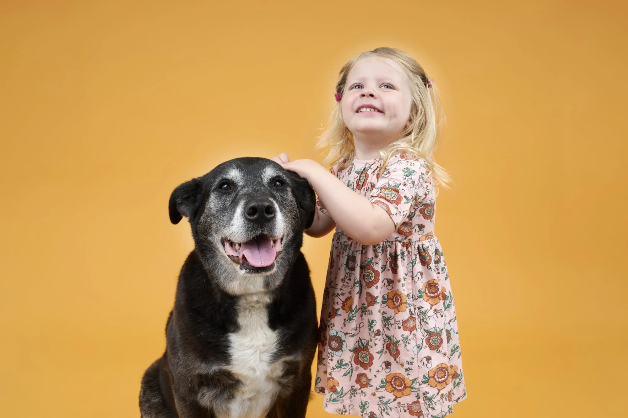 Black-dog-child-sibling-photo-shoot-minneapolis.jpg