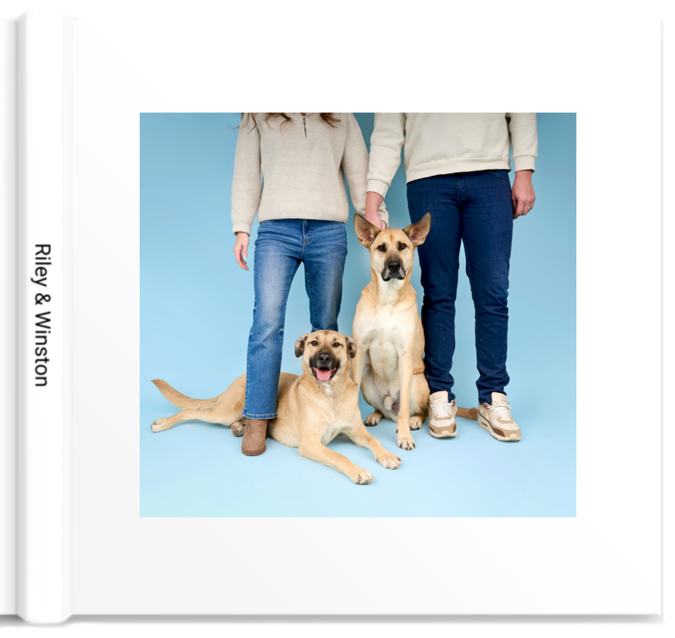 Album-cover-The-Dog-Photog.png