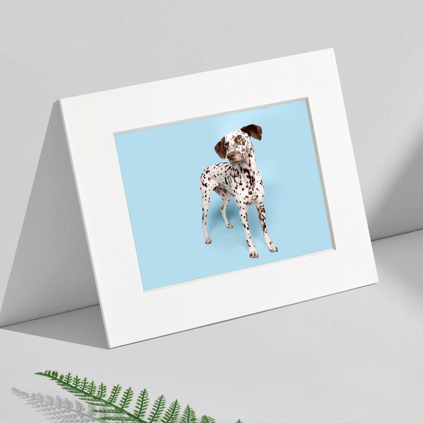 Matted Art Print