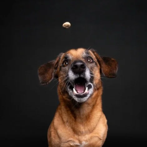 Screenshot 2024-06-07 at 9.54.03 AM.jpg