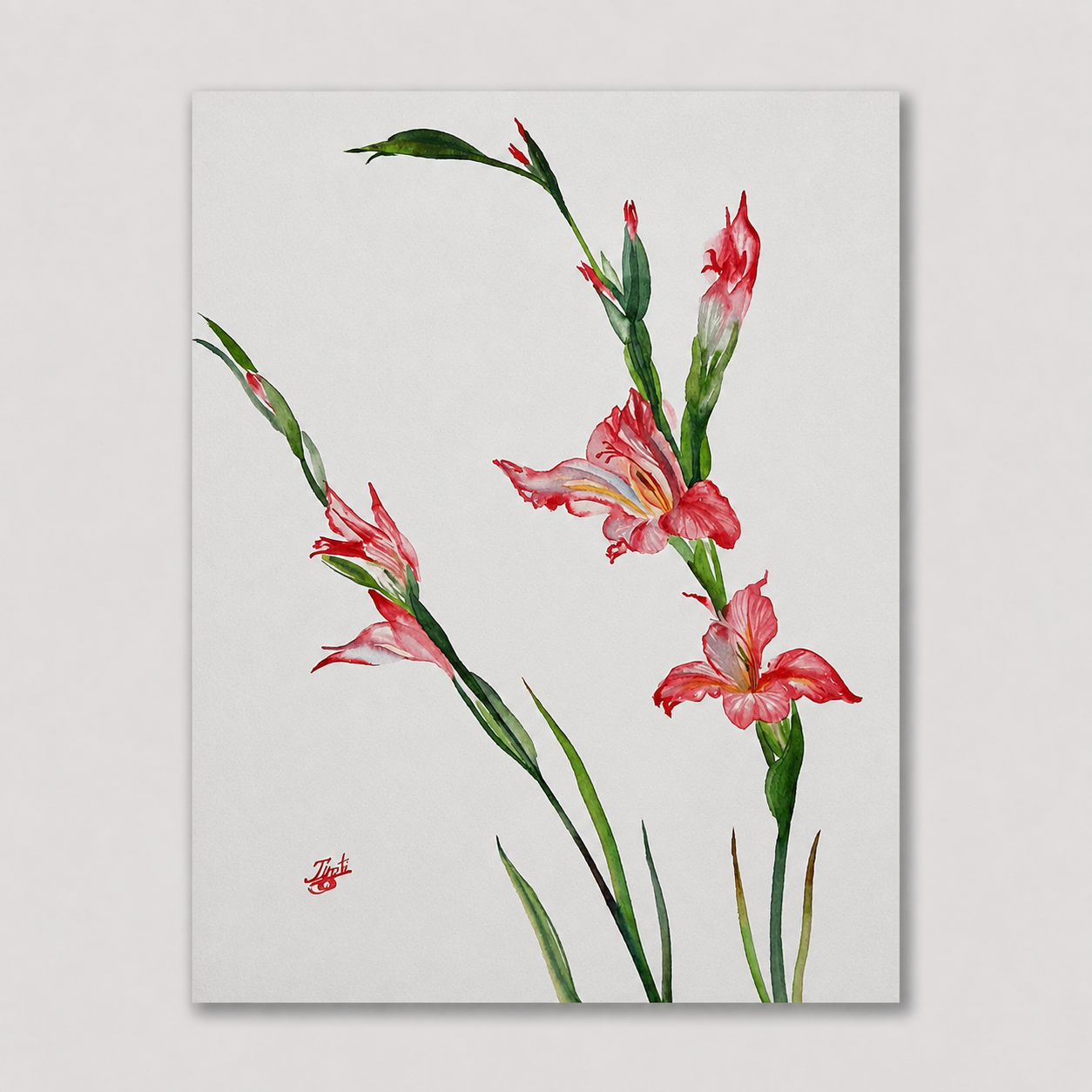 Red Gladioli.png