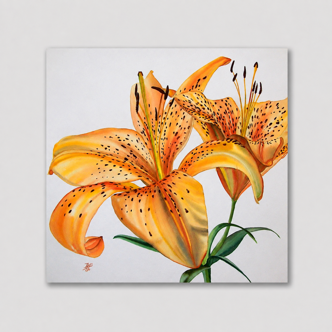 Tigerlilies.png