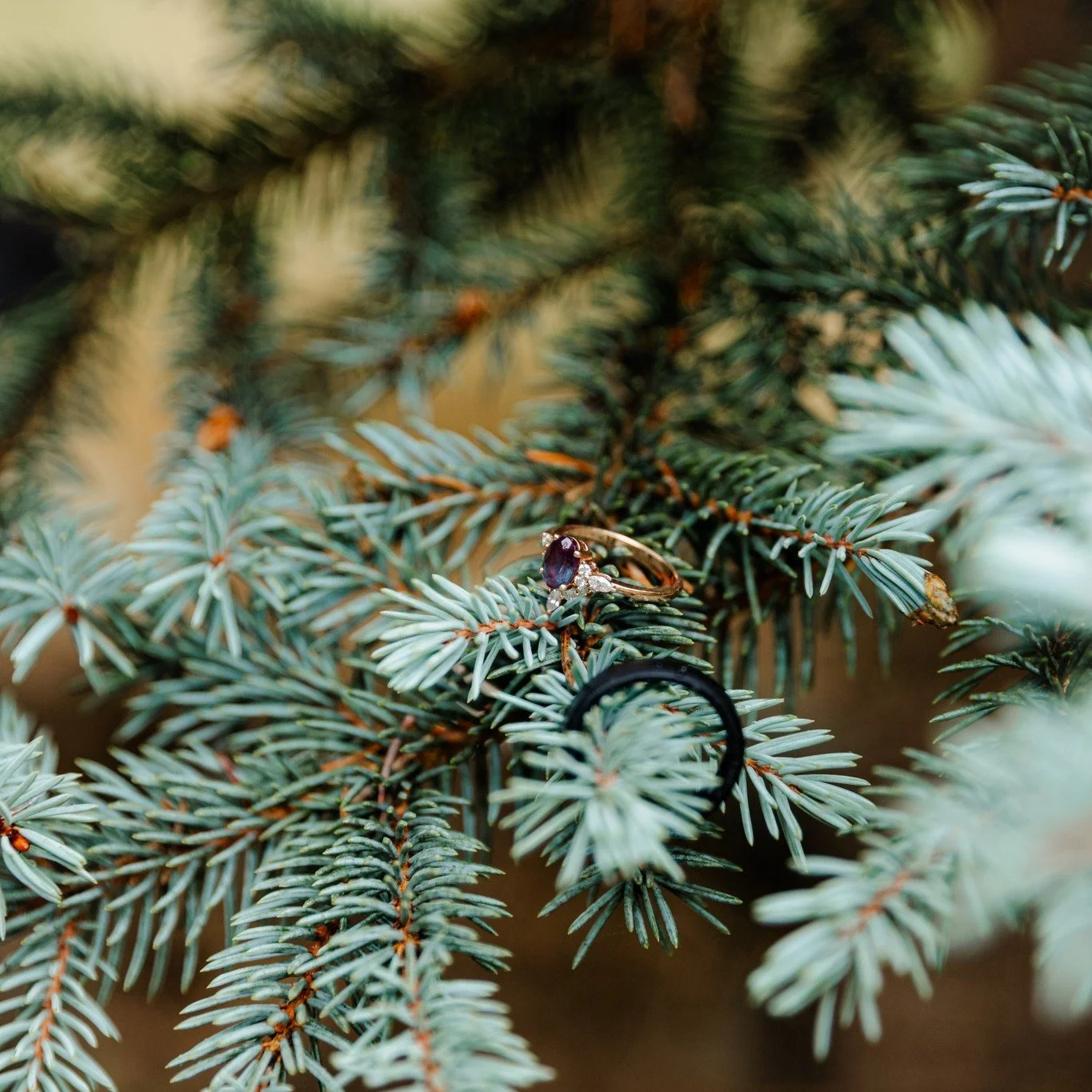 Even in the mountains, details matter. 

The textures, the light, the intentional choices that make an elopement feel personal. This Hurricane Ridge elopement in Port Angeles, Washington was filled with meaningful details set against one of the most 