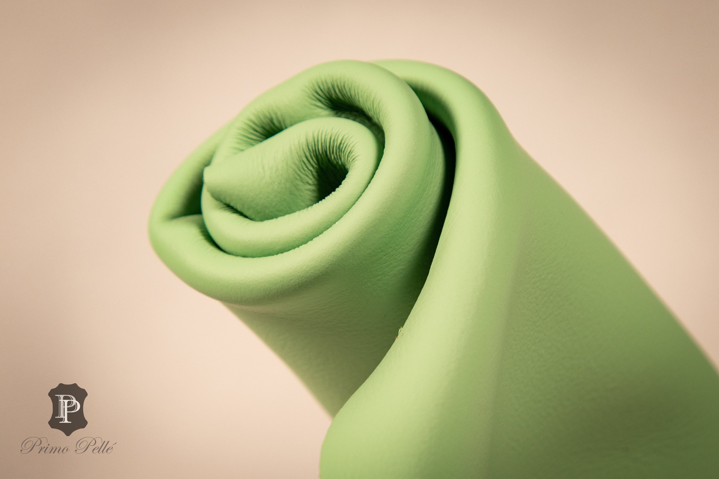 Spring Green.jpg