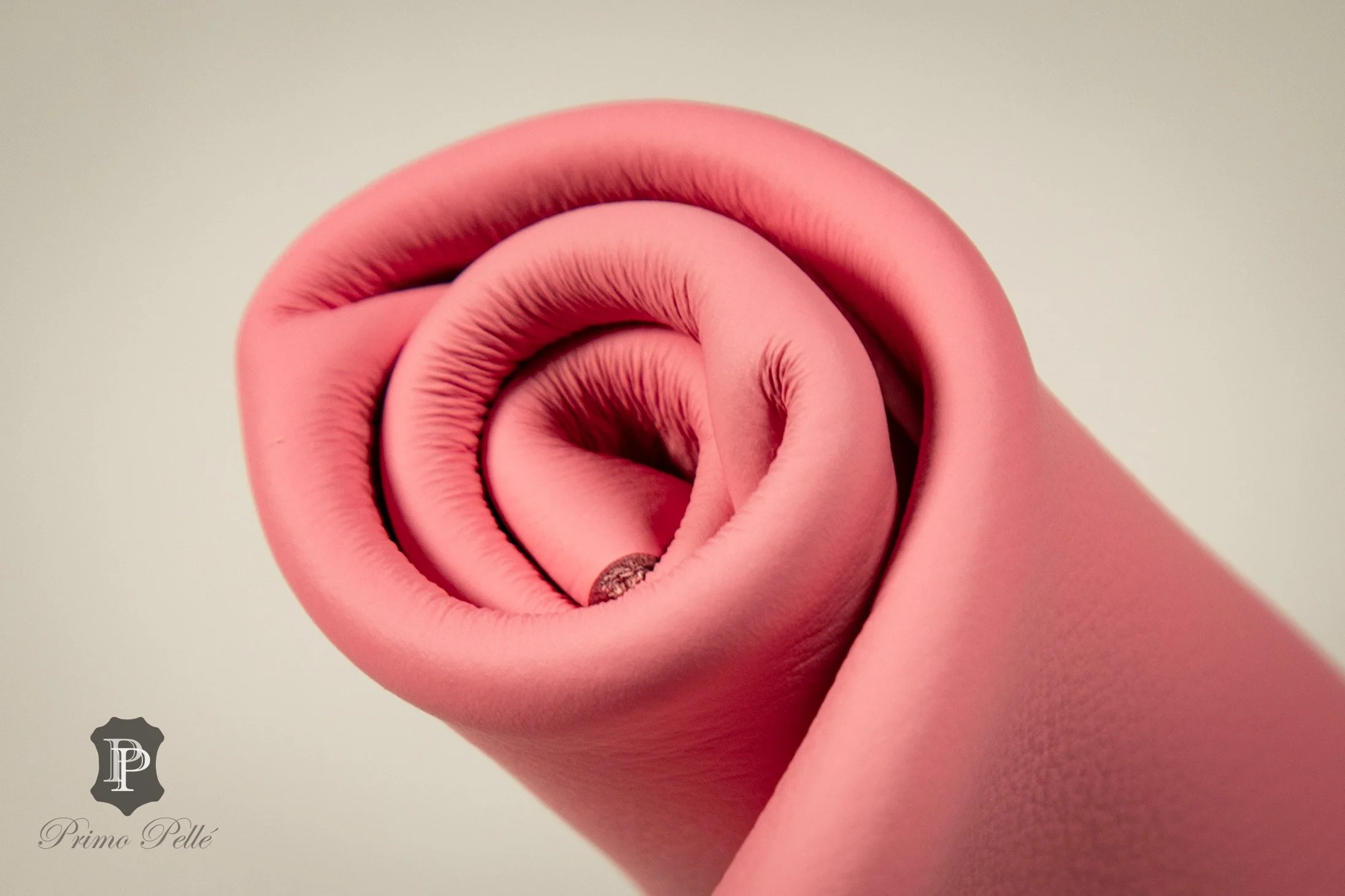 Pink Blush-2.jpg