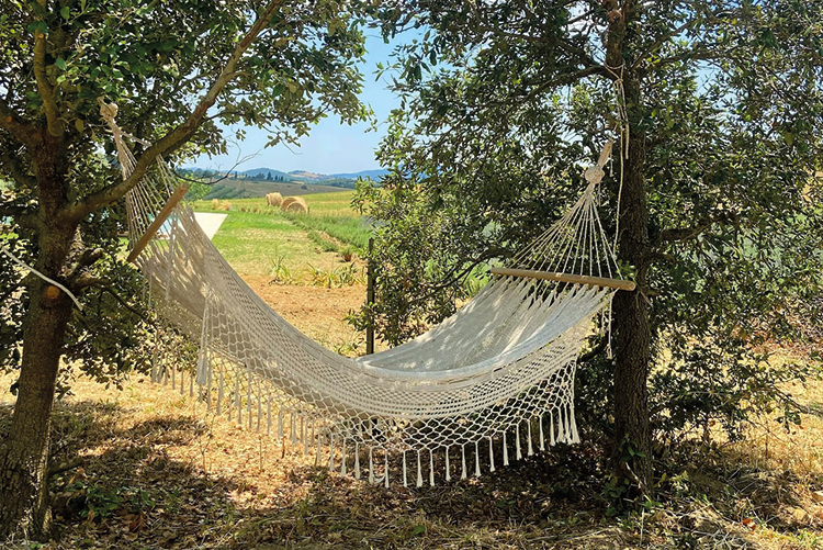 featured_landscape_06.png