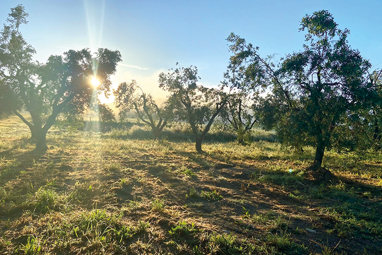 featured_landscape_01.png