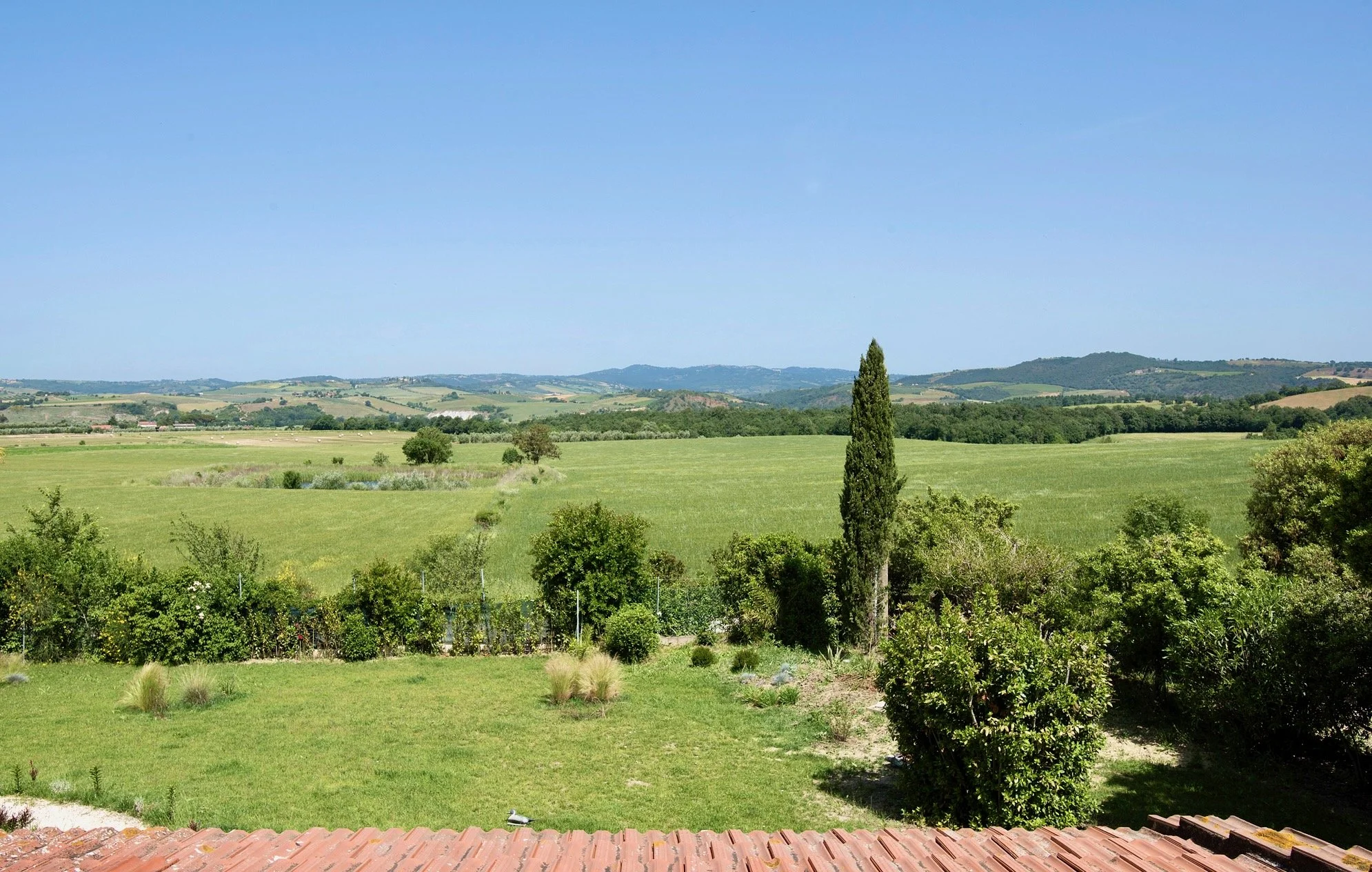 marsy3 front panorama .jpeg
