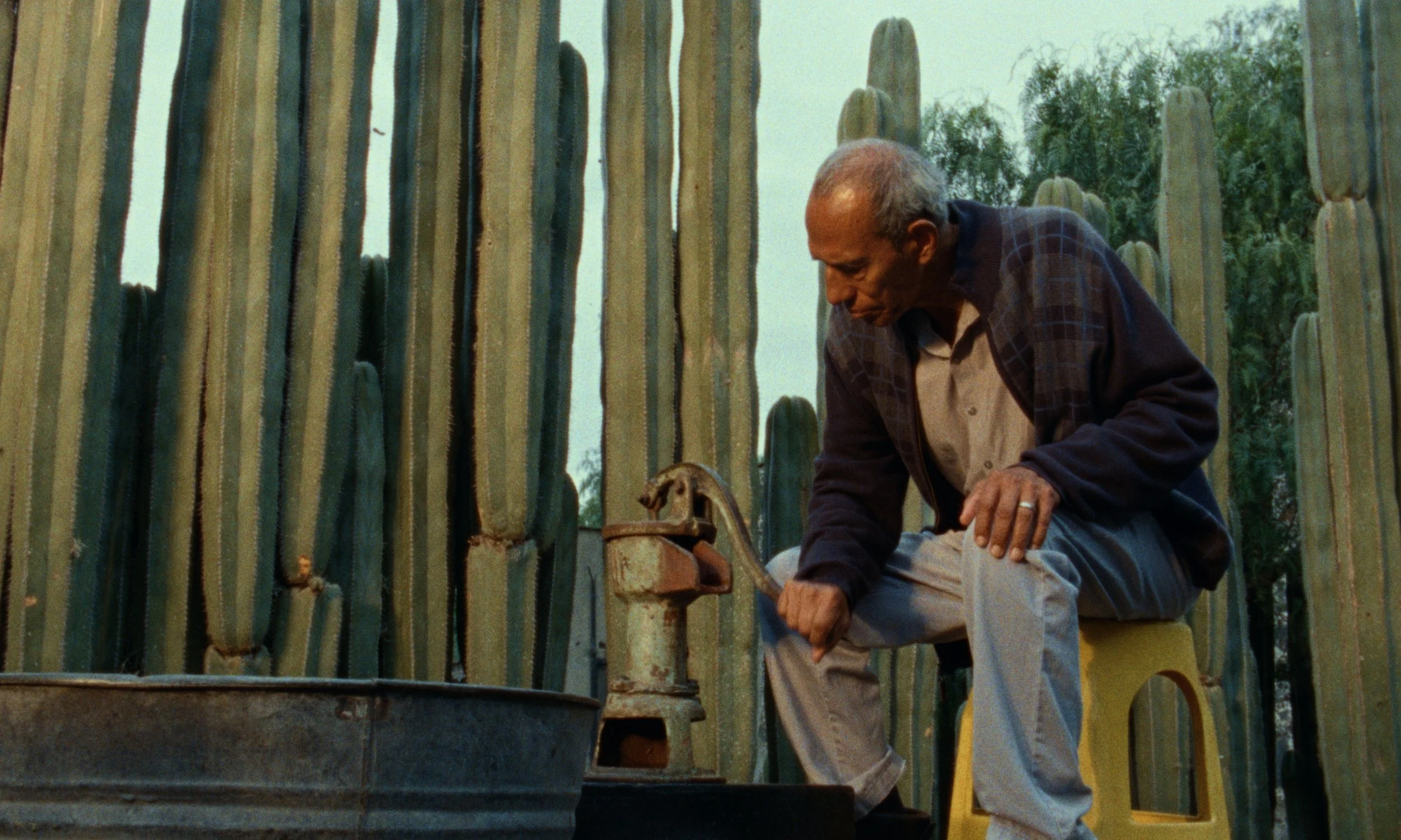 Still 2025-07-13 154658_1.2.2.jpg