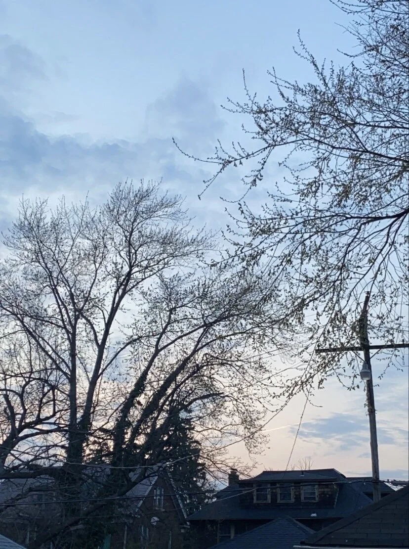Walking Into Spring