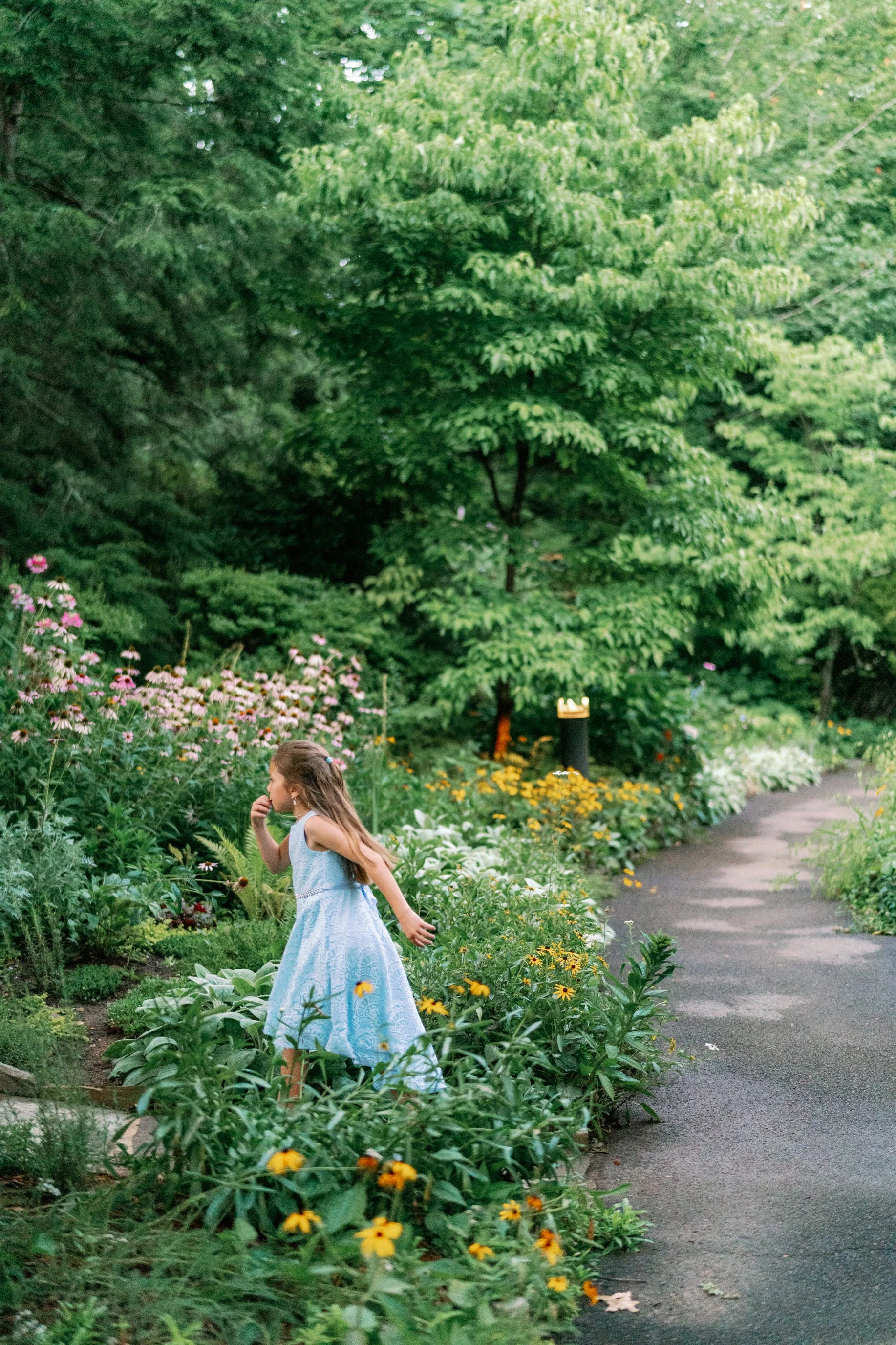 A Summer Garden Walk at RT Lodge 