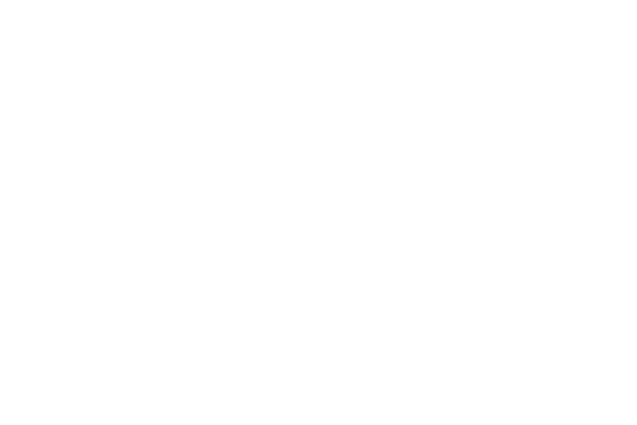 Roof Medic logo — Starks Media video series client  Roofing company