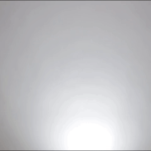 Animated GIF-downsized_large (1).gif