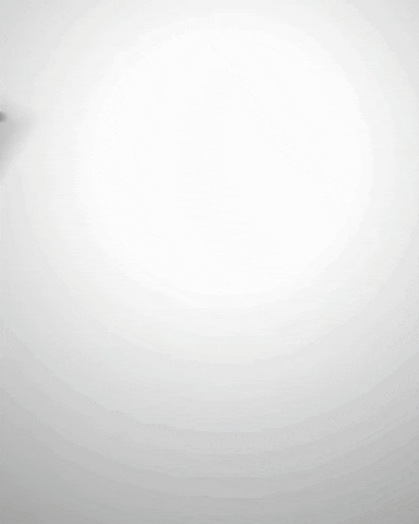 Miranda Mounts Interview | Influencer behind Where To Eat Charlotte