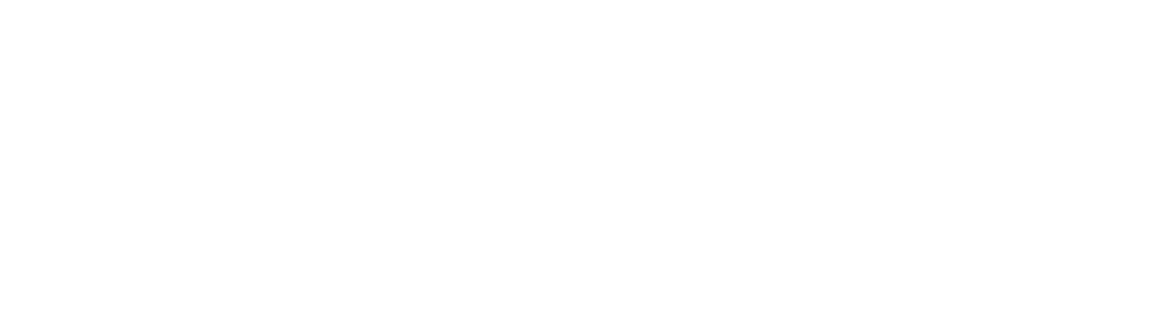 Fairway Independent Mortgage logo — Starks Media corporate video client