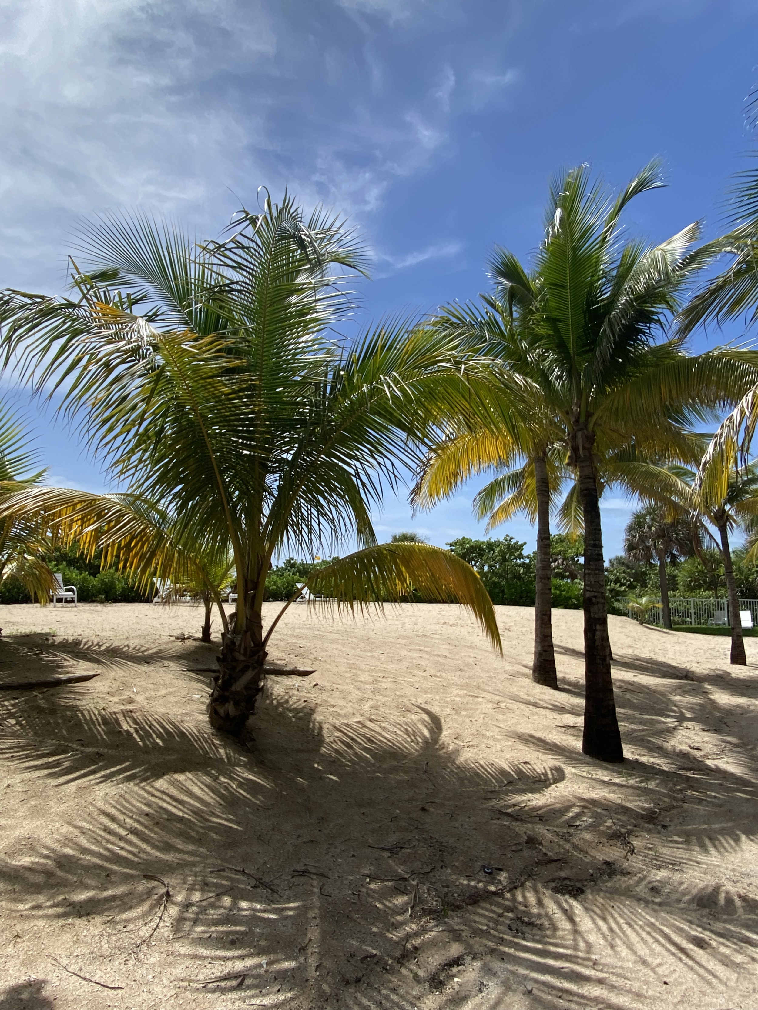 Road Trips and Staycations in Florida